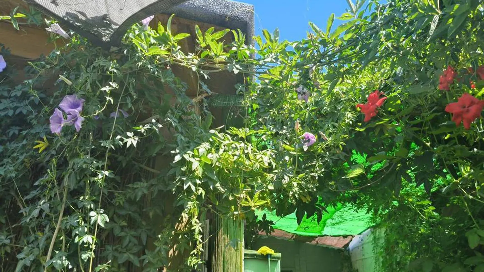 Casa vacanze Villa Casa De Madera Piscina En Roche Conil De La Frontera
